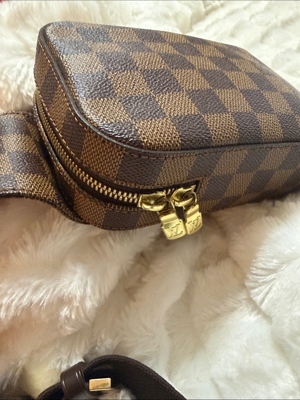 Louis Vuitton Brown Damier Ebene Belt Bag - Picture 3 of 12